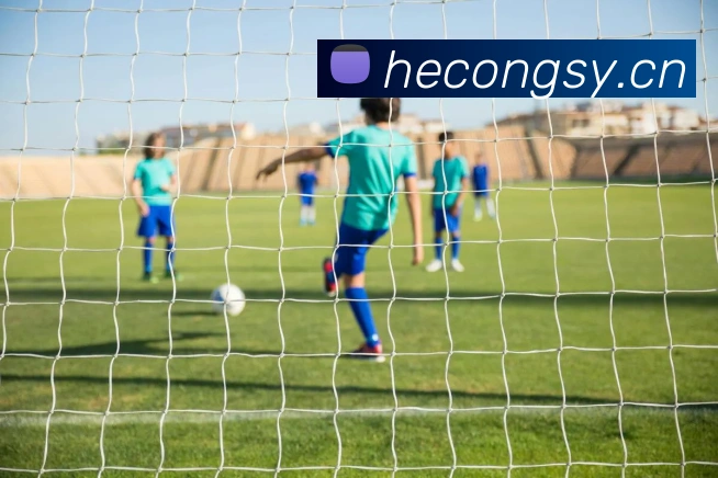 华体hth登录入口APP 封面图